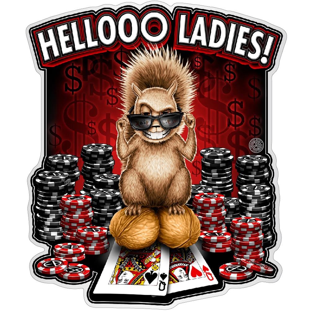 Hello Ladies Premium Reflective Decal